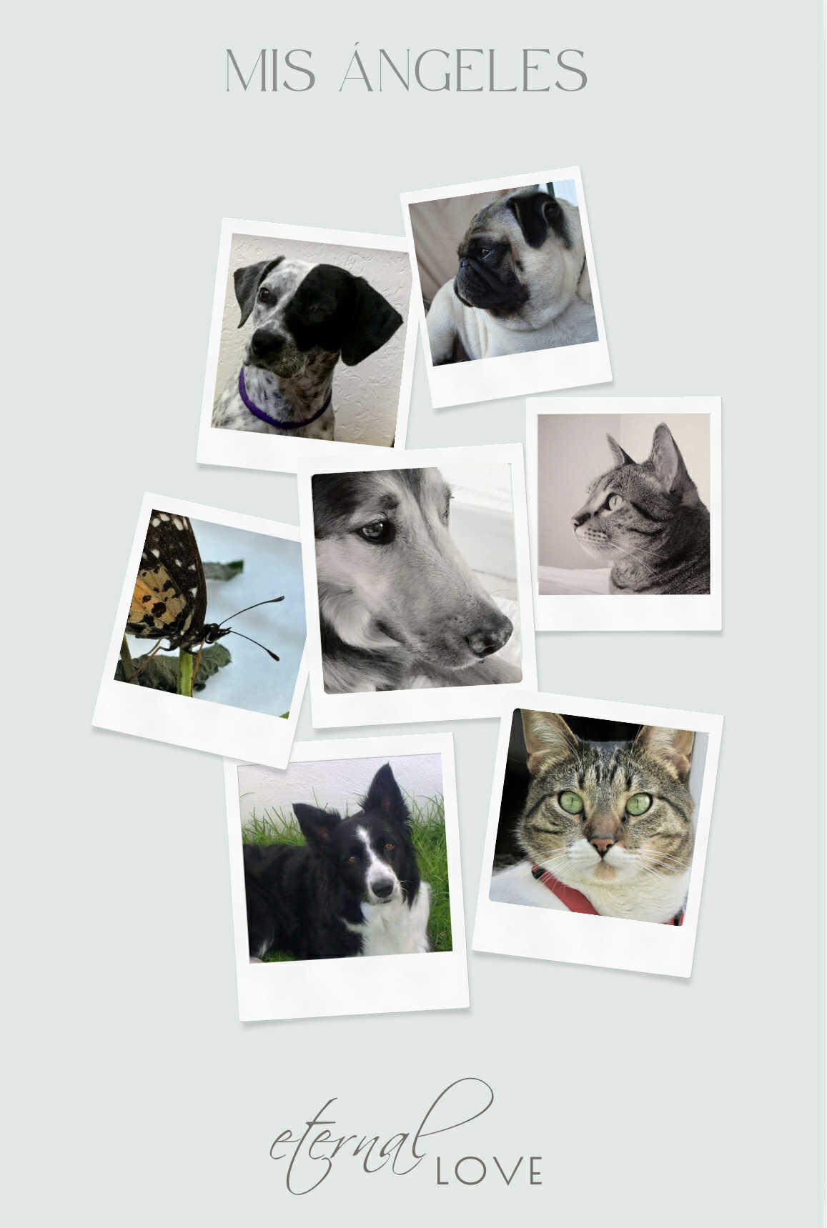 Un collage con los amados compañeros animales de Andrea que ya partieron — sus ángeles — honrando su presencia y guía eterna en su camino espiritual — enmarcado por las palabras “Eternal Love.”