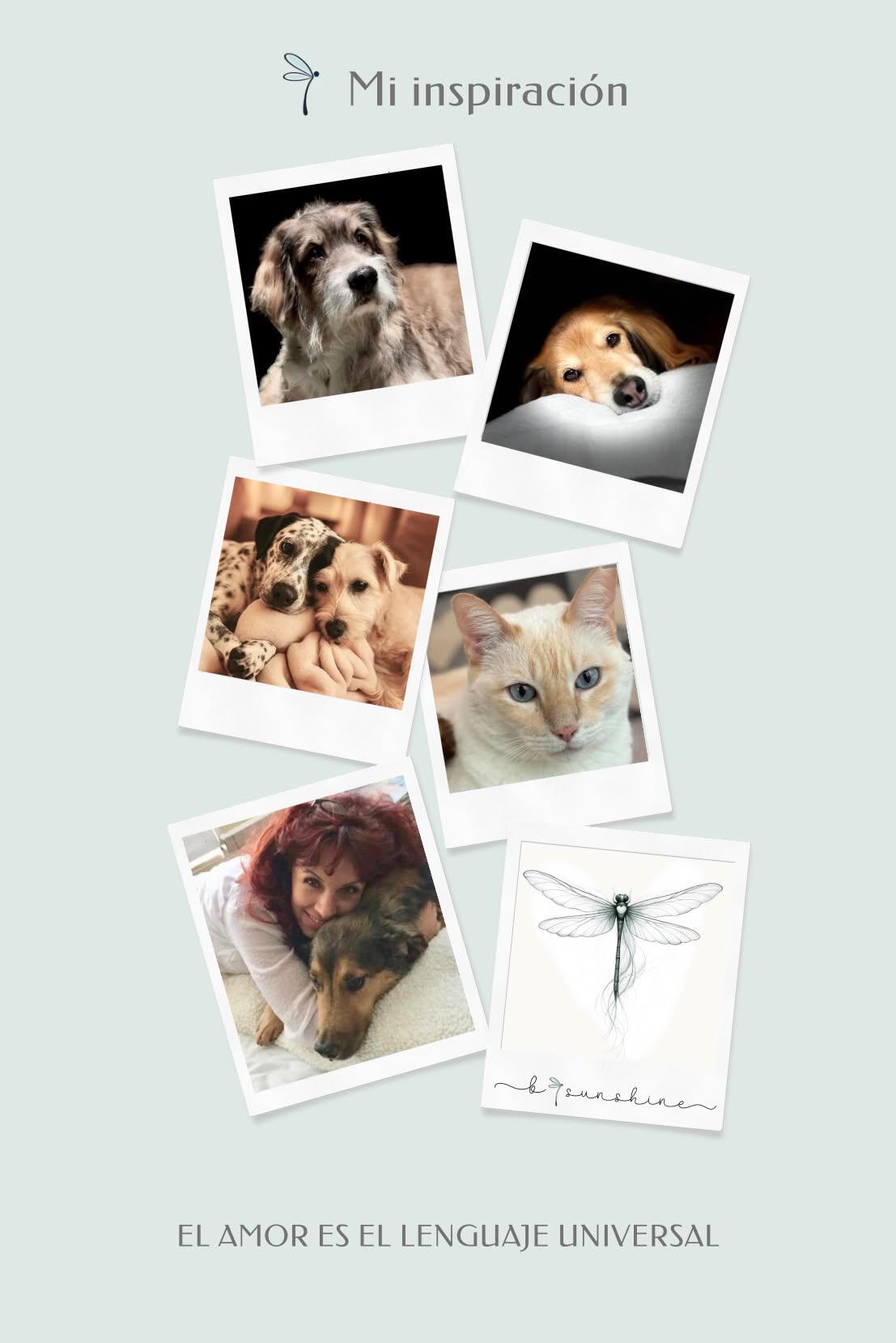 Un collage con los amados animales que llenan el corazón de Andrea e inspiran su labor—su fuente más profunda de amor, alegría y propósito—enmarcado por las palabras “Mi Inspiración”.
