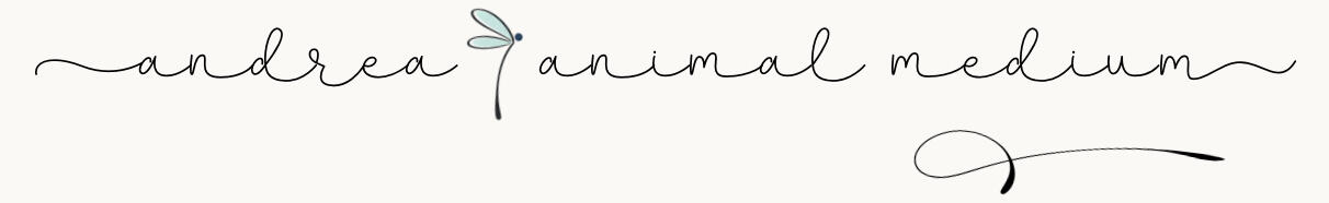 Logo de Andrea.