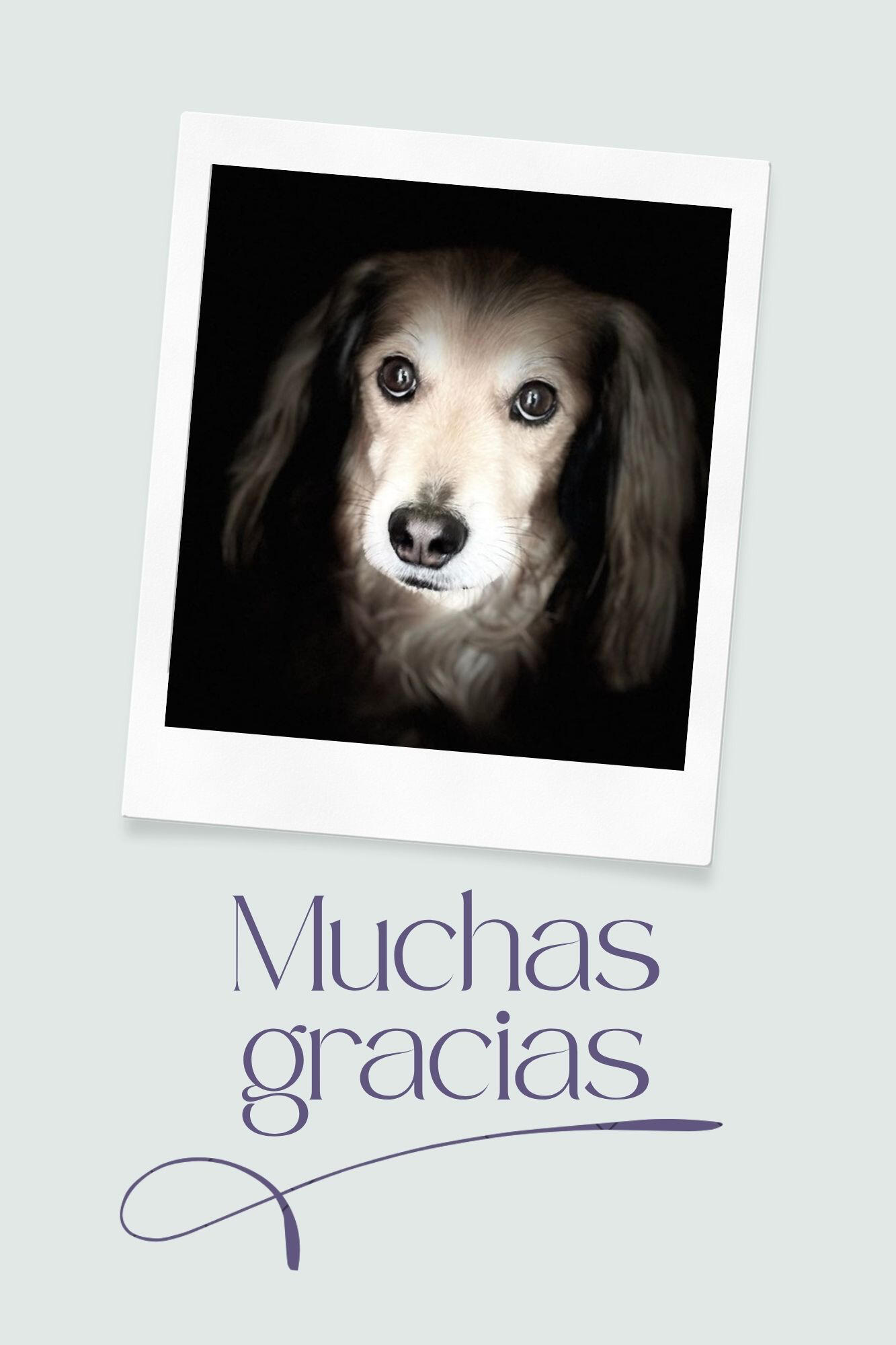 Michel, con el texto “Muchas gracias".