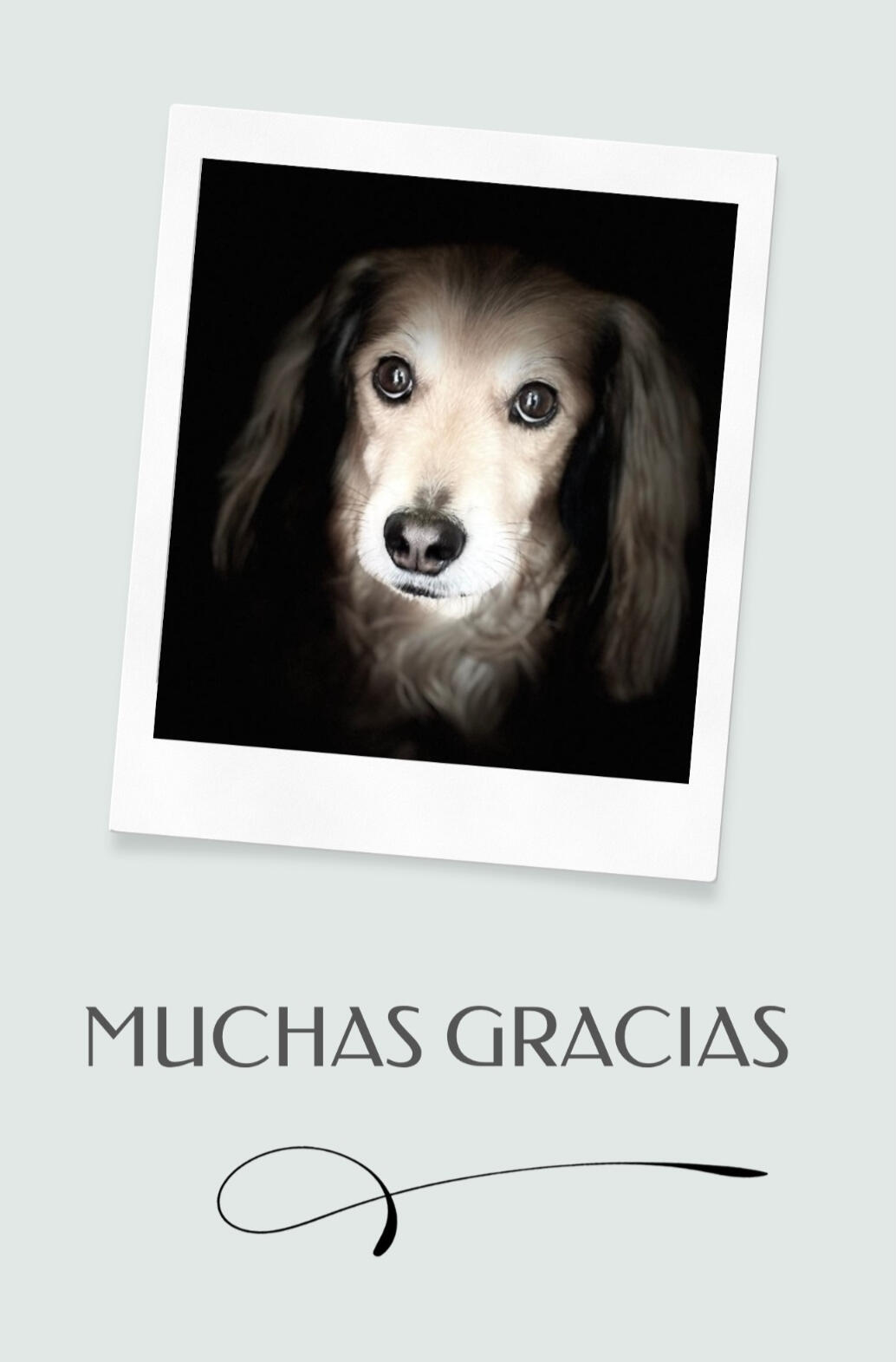 Michel, con el texto “Muchas gracias".