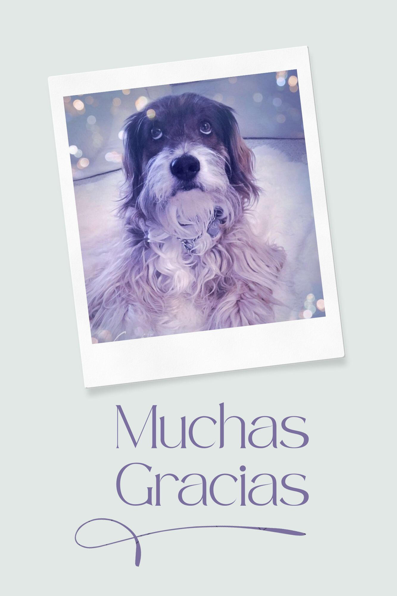 Noel, con el texto “Muchas gracias".